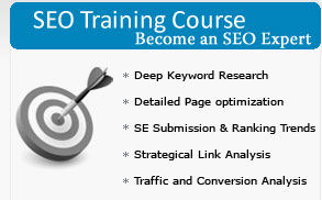 seo training institute in indore, seo training indore
